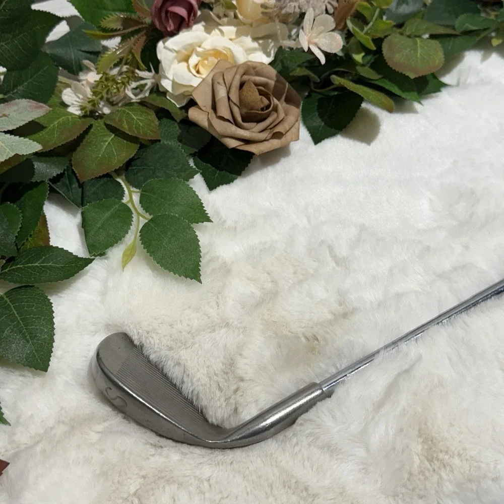Ping Eye Blue Dot Pitching Wedge Flex Steel‎ Shaft RH 36